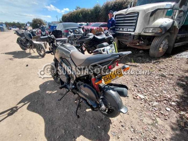 Honda Navi adventure Mod.2020 -Daños Placa - GHA19F